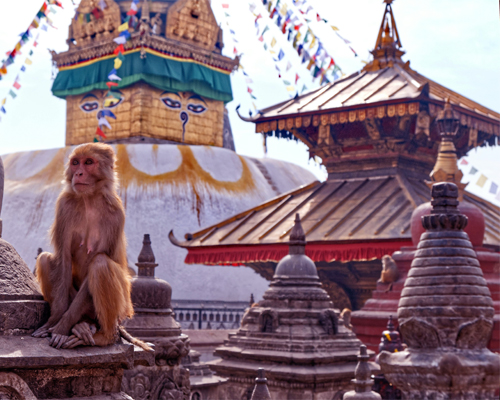 Kathmandu Tour Package From Gorakhpur